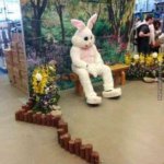 They Don't Carrot All