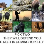 PICK TWO THEY WILL DEFEND YOU THE REST IS COMING TO KILL YOU