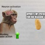 Imgflip for the last 7 years in a nutshell. | Upvote my potato for no reason lol | image tagged in monkey neuron activation | made w/ Imgflip meme maker