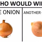 The choice is yours | Another onion; One onion | image tagged in memes,who would win,onion,onions,choice,choices | made w/ Imgflip meme maker