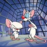 Pinky y cerebro