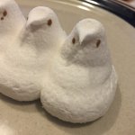 Meepy peep