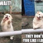 Wait! Stop scrolling! | wait! They don't love you like i love you | image tagged in wait stop scrolling | made w/ Imgflip meme maker