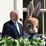 Trump Easter 2026 Rabbit Bunny