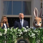 Easter Egg Roll meme