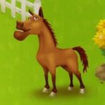 hayday horse