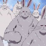One Piece Bunnies