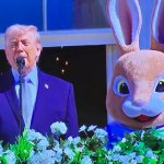 Trump bunny