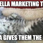 NUTELLA MARKETING TEAM | NUTELLA MARKETING TEAM; as nasa gives them the day off | image tagged in relaxed cat,marketing,funny,nasa | made w/ Imgflip meme maker