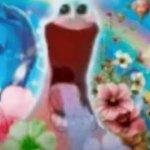 Sunshine and rainbows