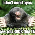 Chemistry Test Day | I don't need eyes; to see you ROCK this TEST! | image tagged in mole | made w/ Imgflip meme maker