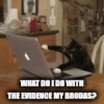 Help me. the evidence is only I overthinking Brodas... | What do I do with the evidence my brodas? | image tagged in gifs,cat typing | made w/ Imgflip video-to-gif maker