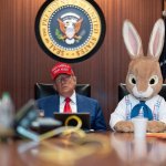 Trump's rabbit