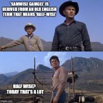 Manidicent seven - Today that's a lot | 'Samwise Gamgee' is derived from an Old English term that means ‘half-wise’; Half wise?  
Today that’s a lot | image tagged in manidicent seven - today that's a lot | made w/ Imgflip meme maker