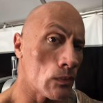 the rock