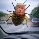 Trump bug on a windshield meme