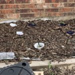 Texas victory garden Spring 2026