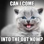 Can I Come Into The Out Now? | Can I Come; Into The Out Now? | image tagged in meowing kitten | made w/ Imgflip meme maker