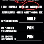 The ultimate LGBTQ+ get to know me | sage; not telling :p; he/they/sometimes she; male; pan; pan; gynoromantic; pan | image tagged in the ultimate lgbtq get to know me | made w/ Imgflip meme maker