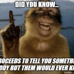 erm actually monkey | Did you know... *proceeds to tell you something nobody but them would ever know* | image tagged in erm actually monkey | made w/ Imgflip meme maker