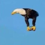 Welcome to Gboard clipboard, any text that you copy will be save