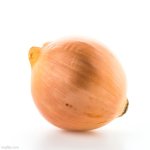 Just magnificent | image tagged in onion,onions,beautiful,memes,vegetable,yay | made w/ Imgflip meme maker