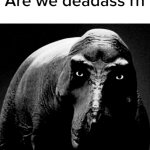Are we deadass rn meme