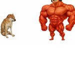 Communist Buff Doge and Thin Cheems