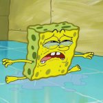 Sad sponge