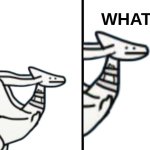 reshiram what