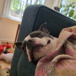 Me Saturday Morning