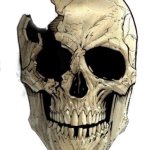 The skull of Emperor Argall