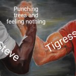 Both are built different | Punching trees and feeling nothing; Tigress; Steve | image tagged in memes,epic handshake | made w/ Imgflip meme maker
