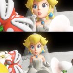 peach rejecting mario and bowser meme