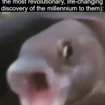 It lowk aint that deep bro | Roblox YouTubers when they go slightly out-of-bounds in a game (It's the most revolutionary, life-changing discovery of the millennium to them): | image tagged in poggers fish,roblox,out of bounds,pog,fish,youtube | made w/ Imgflip meme maker