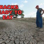 Drought Farmer | cracks 
ready to
eat | image tagged in drought farmer | made w/ Imgflip meme maker