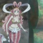 what this's what that's ?