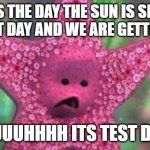 Starfish | TOdays the day the sun is shining 
its test day and we are getting out; uuuuhhhh its test day | image tagged in starfish | made w/ Imgflip meme maker