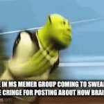Real | People in MS Memer group coming to swear at me and call me cringe for posting about how brainrot is bad | image tagged in gifs,real | made w/ Imgflip video-to-gif maker