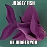 judgey fish | Judgey fish; He judges you | image tagged in judgey fish,meme,fish | made w/ Imgflip meme maker