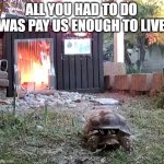 All you had to do was pay us enough to live | All you had to do was pay us enough to live | image tagged in turtle starts fire and runs | made w/ Imgflip meme maker