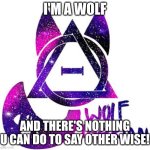 wolf therian | I'm a wolf; and there's nothing u can do to say other wise! | image tagged in i'm a wolf therian,deal with it,i love furries,atr,faith,therians rule | made w/ Imgflip meme maker