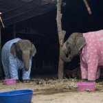 You're home late again?