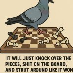 Playing chess with pigeon
