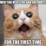 Ark encounter cat