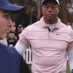 Tiger woods meme