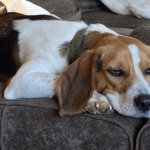 Fascinating. Truly groundbreaking.