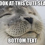 Satisfied Seal | Look at this cute seal; bottom text | image tagged in memes,satisfied seal | made w/ Imgflip meme maker