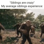 It's always with my sister | "Siblings are crazy"
My average siblings experience: | image tagged in gifs,monkey | made w/ Imgflip video-to-gif maker