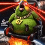 67